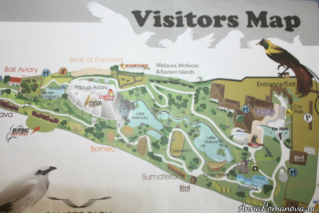карта парка птиц на бали