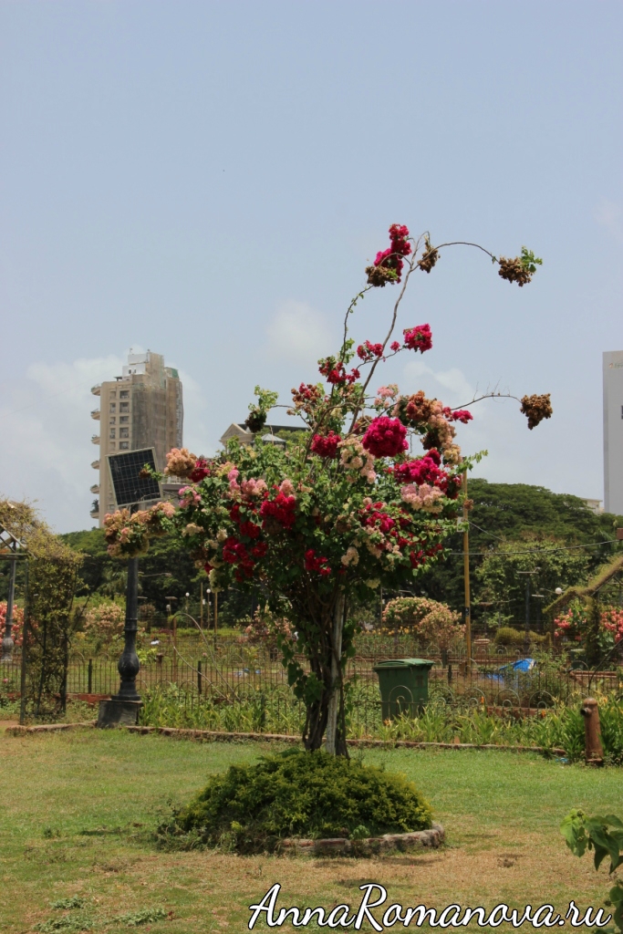 Сады Мумбаи