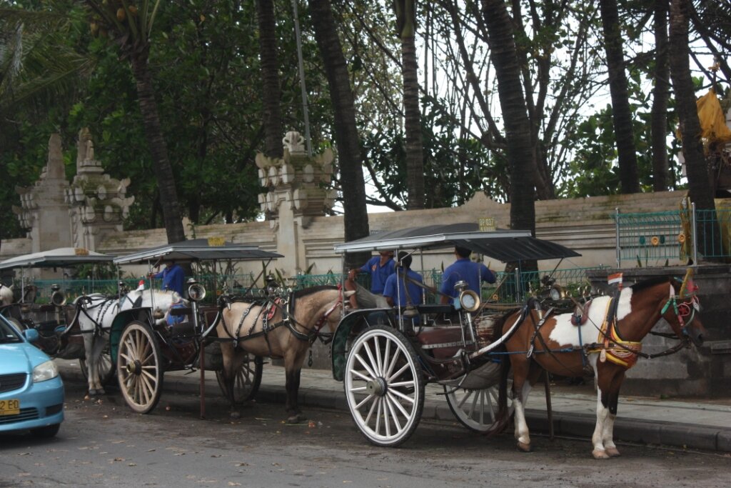 Лошади в Куте